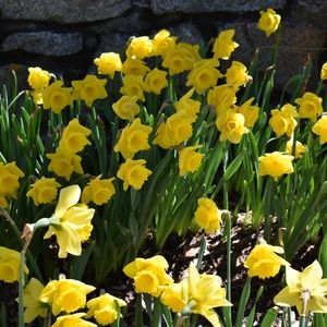 Meet your Posher,Stylish Girl